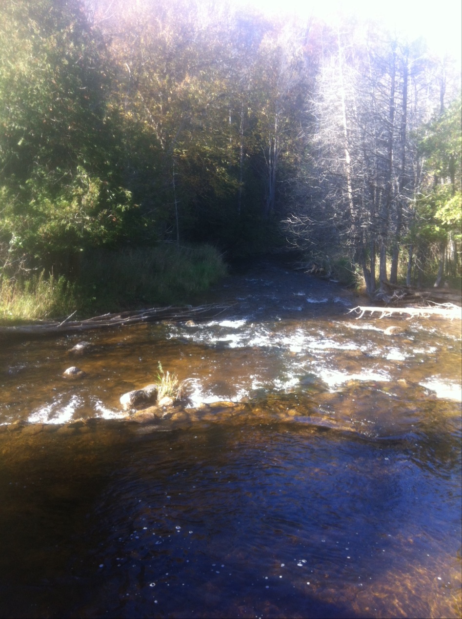 Noisy River Provincial Park | Creemore, ON L0M 1G0, Canada | Phone: (705) 429-2516