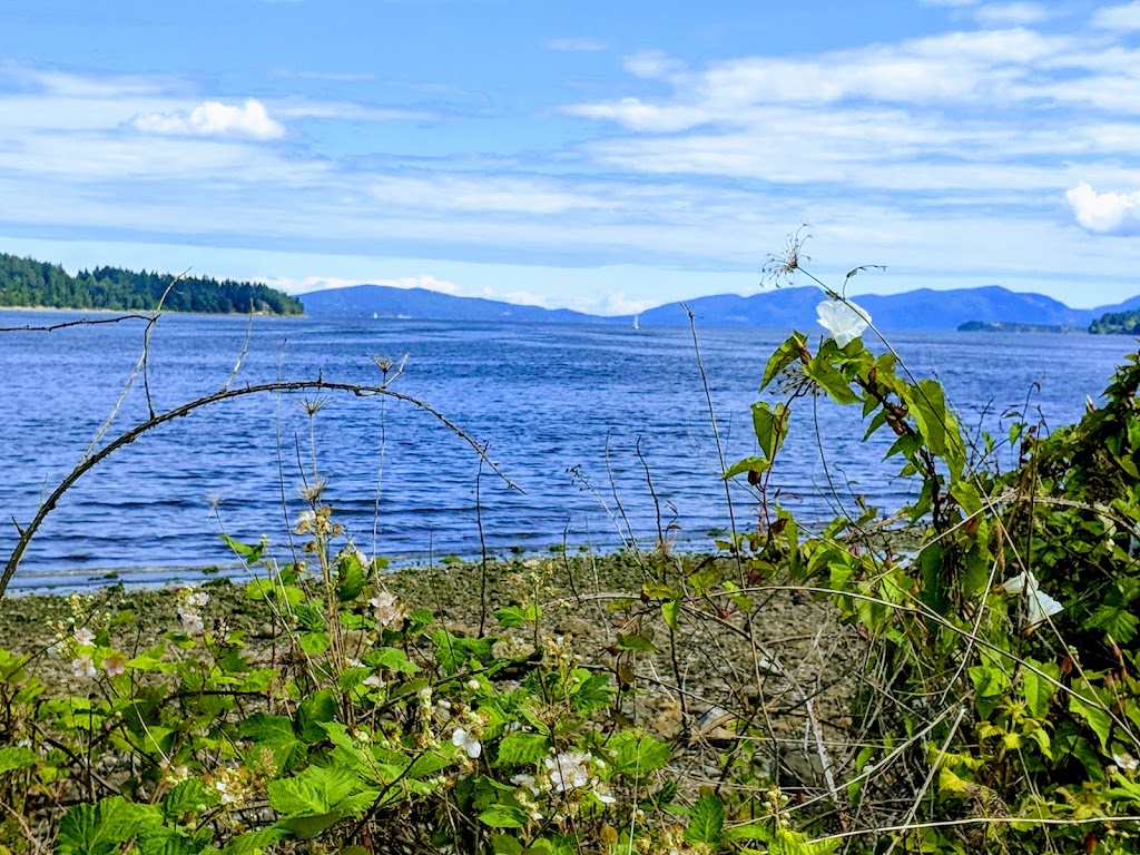 Ladysmith Amphitheatre | Transfer Beach Blvd, Ladysmith, BC V9G, Canada | Phone: (250) 245-6400