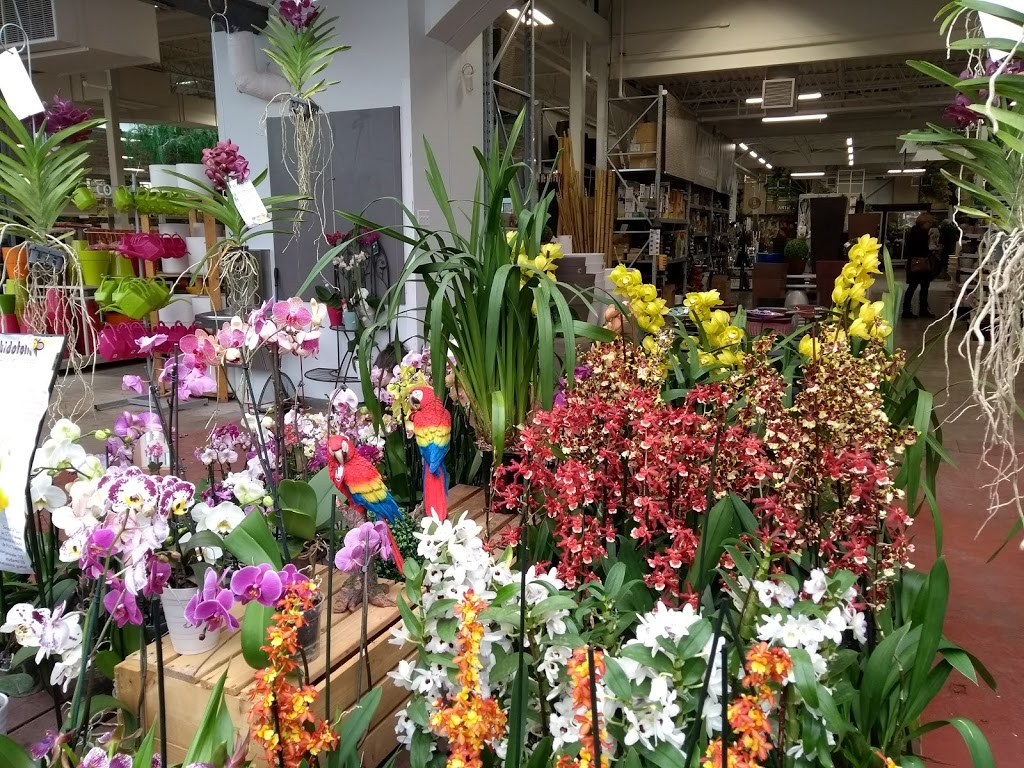 Floralies Jouvence | 2020 Avenue Jules-Verne, Québec, QC G2G 2R2, Canada | Phone: (418) 872-0869