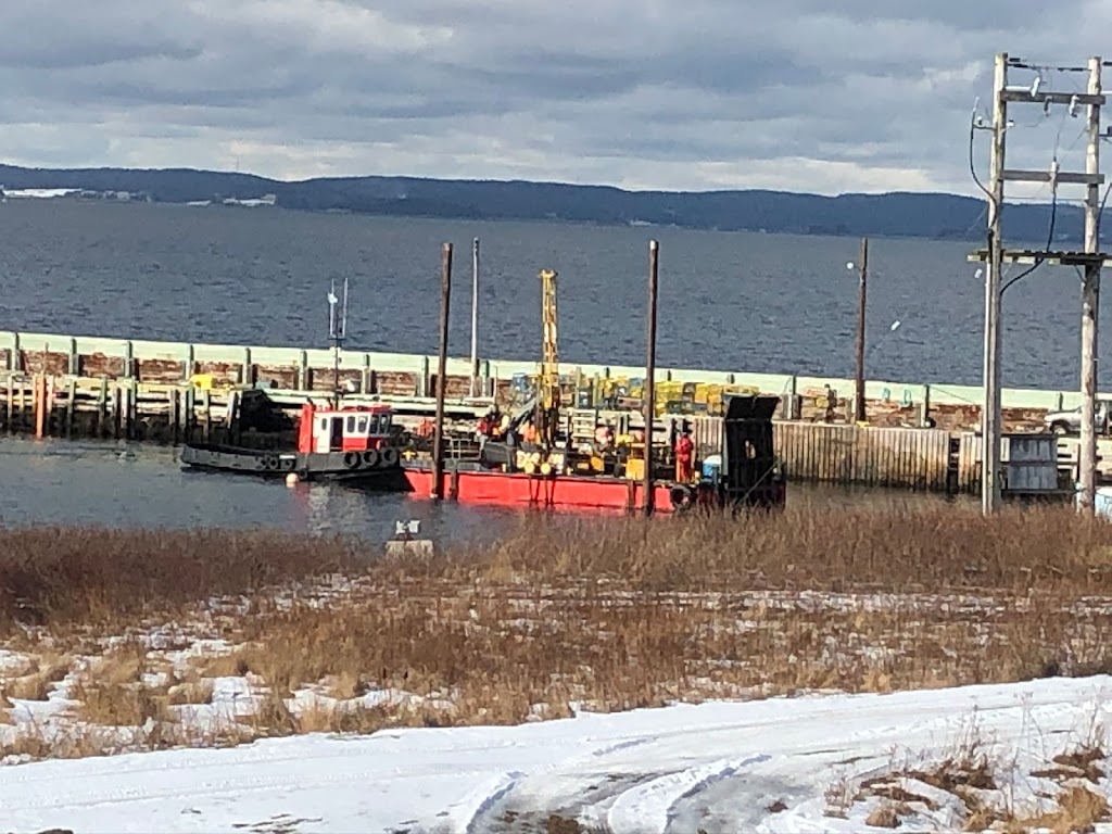 Trident Marine Services Inc | 18 Little Tancook Island Rd, Little Tancook, NS B0J 2B0, Canada | Phone: (902) 973-1333