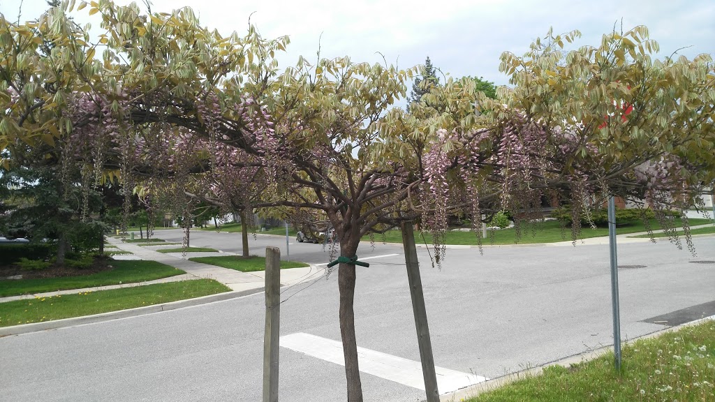 Verdi Glass & Mirror | 74 Brasswinds Ct, Woodbridge, ON L4L 9C6, Canada | Phone: (416) 704-6311