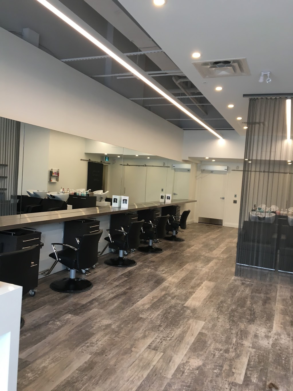 DBK Salon | 2885 Bayview Ave, North York, ON M2K 0A3, Canada | Phone: (416) 901-8844