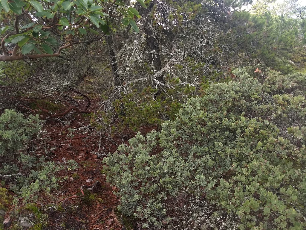 Mount Work Regional Park | Highlands, BC V9E 1G8, Canada