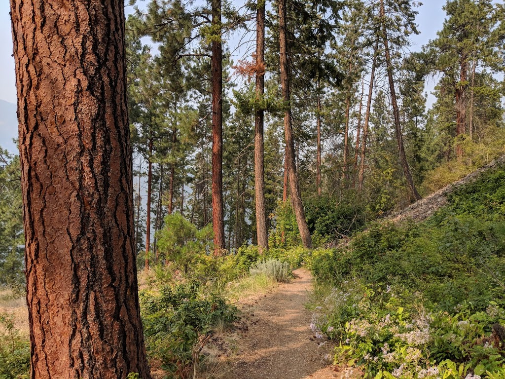 Lochview Trail | Lochview Rd, Kelowna, BC V1V 1G8, Canada