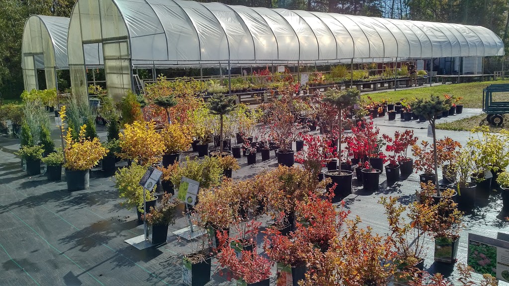 Arber Greenhouses Ltd | Wetaskiwin County No. 10, AB T9A 2Y9, Canada | Phone: (780) 352-7520
