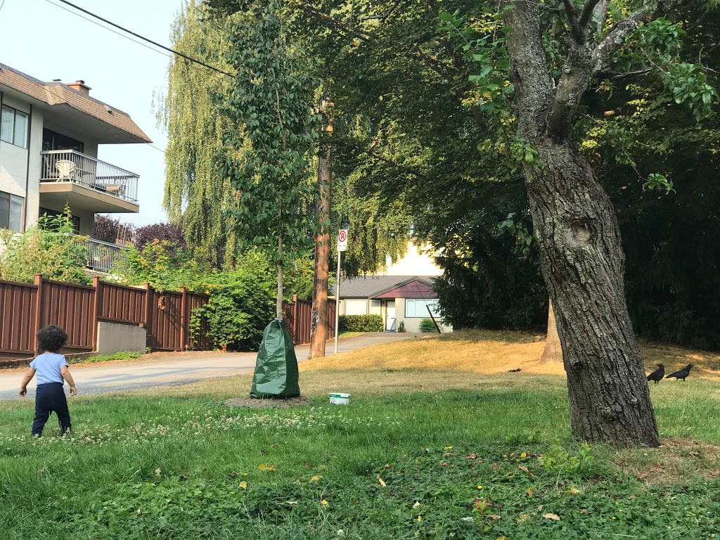 McGill Park | 2305 McGill St, Vancouver, BC V5L 1C5, Canada
