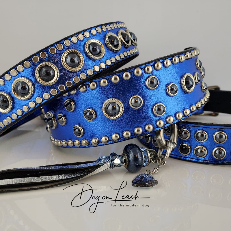 Dog On Leash | 412 Rue du Golf, Saint-Zotique, QC J0P 1Z0, Canada | Phone: (450) 267-2074