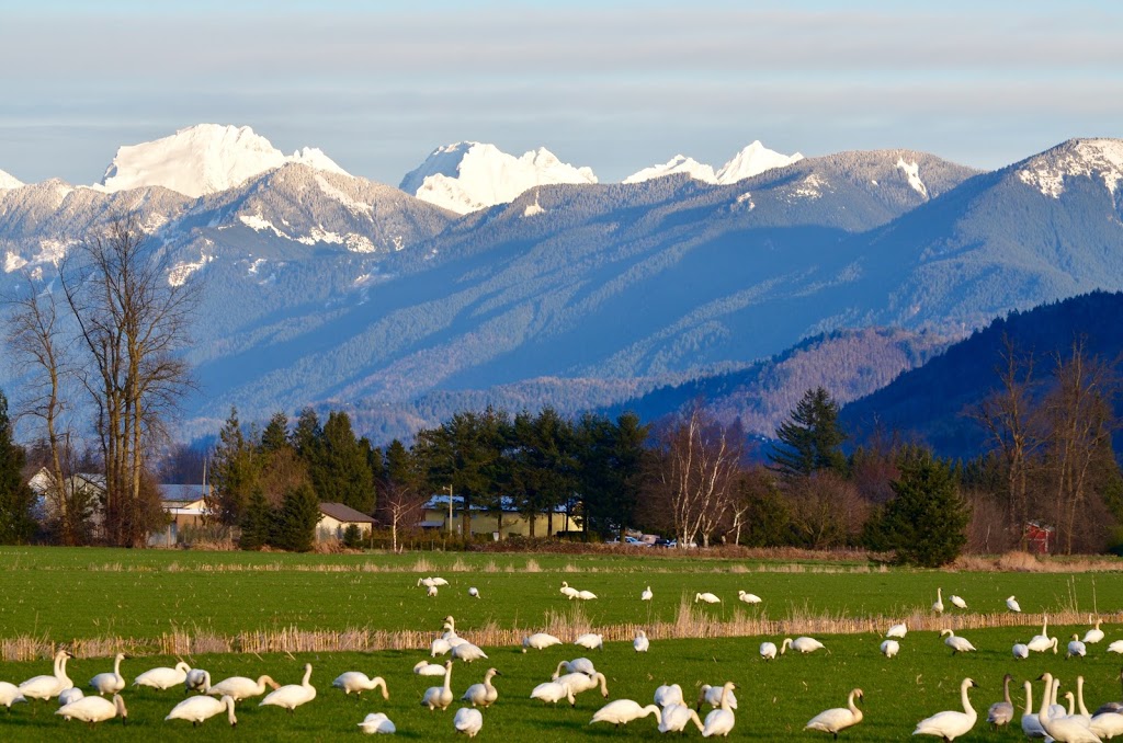 Hougen Park | 2887 Cole Rd, Abbotsford, BC V3G 2K5, Canada