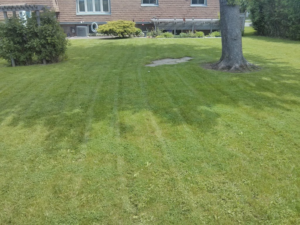 Pinecrest Property Maintenance | 240 Clarence St, Port Colborne, ON L3K 3G6, Canada | Phone: (289) 990-8056