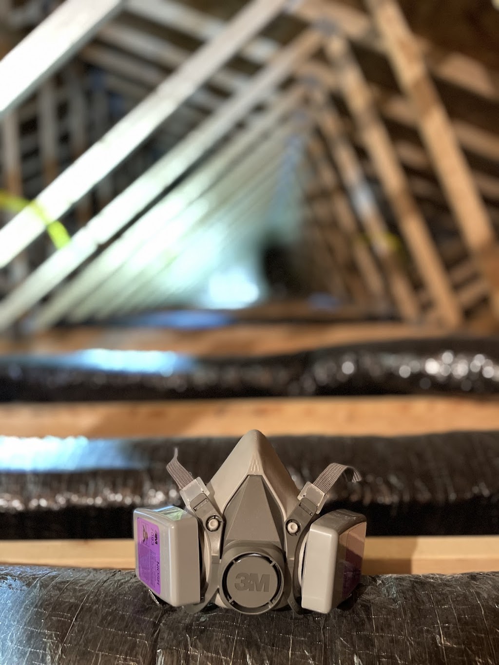 Apex Insulation Services | 14 Taylor Lake Dr, Hammonds Plains, NS B4B 1N7, Canada | Phone: (902) 488-1821