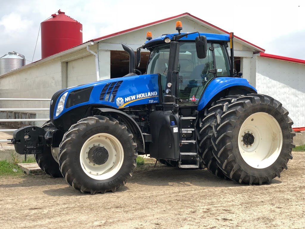 Ordonez Cattle Farms | 501 Mersea Road 5, Leamington, ON N8H 3V5, Canada | Phone: (519) 322-0849