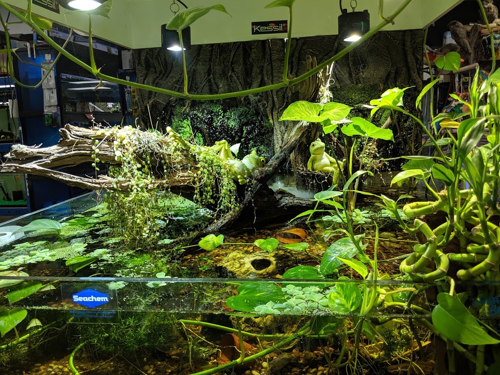 Phils Pets | 77 Durham St W, Lindsay, ON K9V 2P8, Canada | Phone: (705) 878-5792