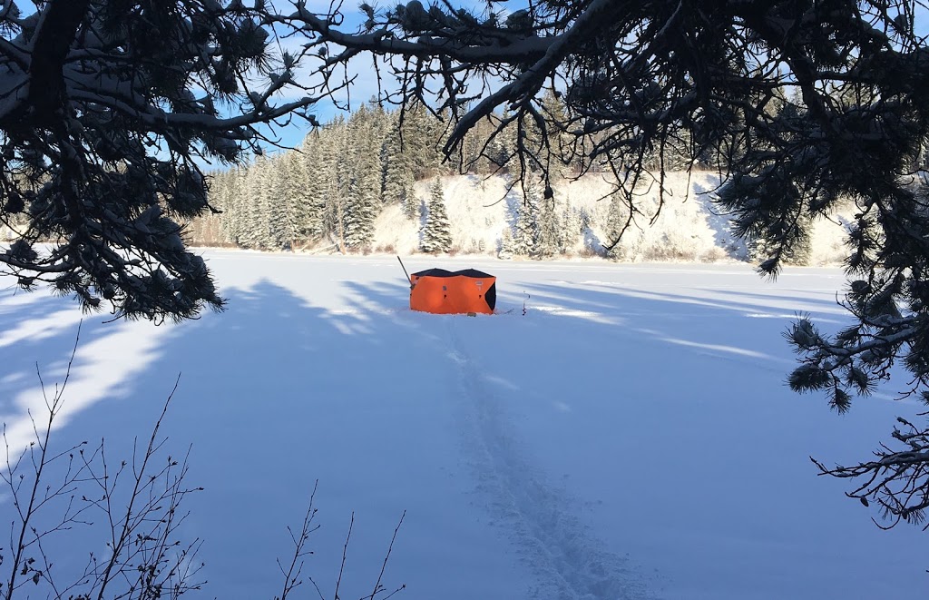 Phyllis Lake Provincial Recreation Area | Unnamed Road, 0M0, Caroline, AB T0M 0M0, Canada | Phone: (403) 845-8349