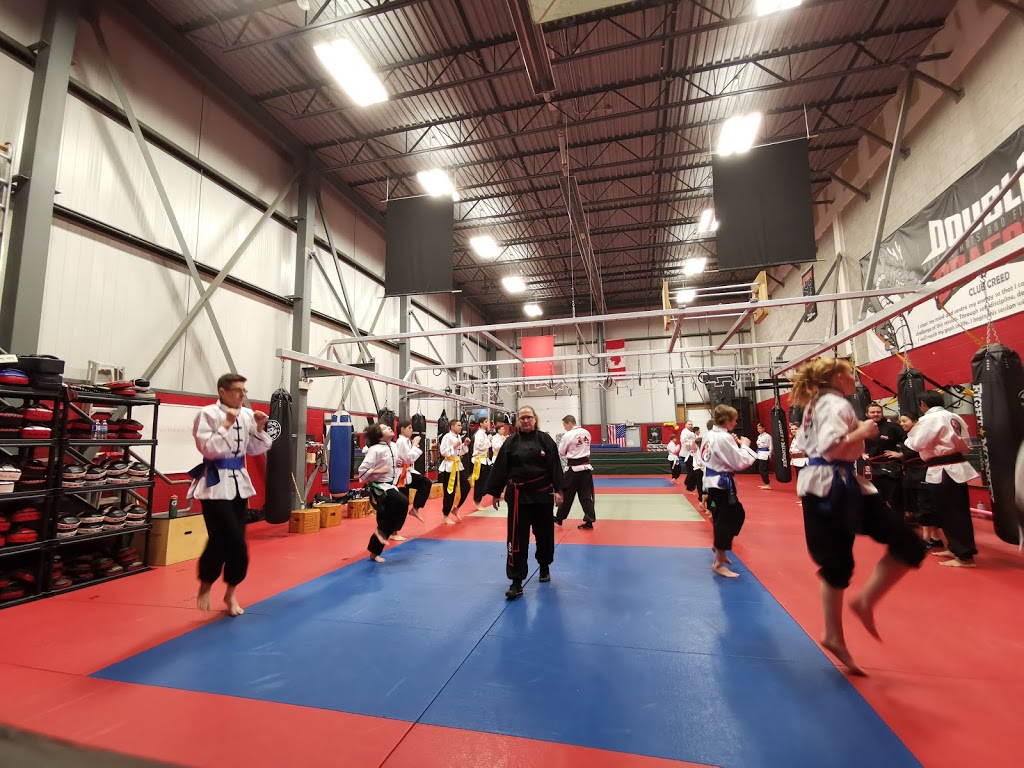 Double Dragon | 3-1045 Trillium Dr, Kitchener, ON N2R 0A2, Canada | Phone: (519) 575-9155