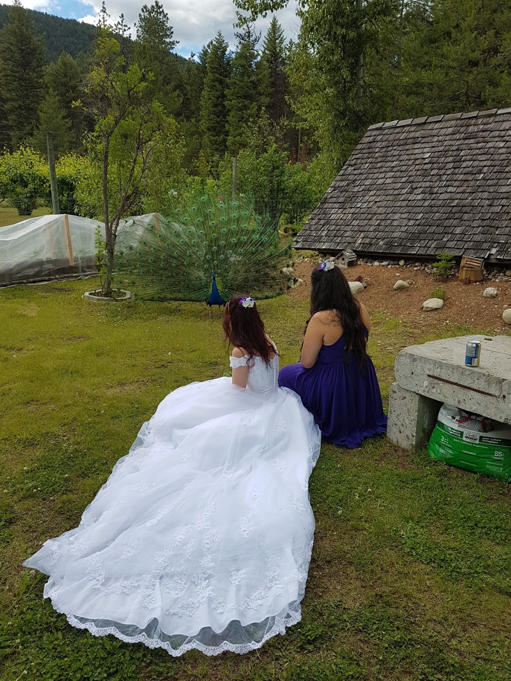 Eagles Nest Retreat & Spa | 6090 Christian Valley Rd, Westbridge, BC V0H 1Y0, Canada | Phone: (250) 718-2675