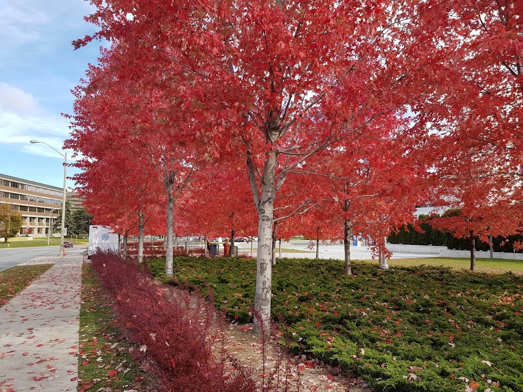 Aga Khan Park | 77 Wynford Dr, North York, ON M3C 1K1, Canada | Phone: (416) 646-4677