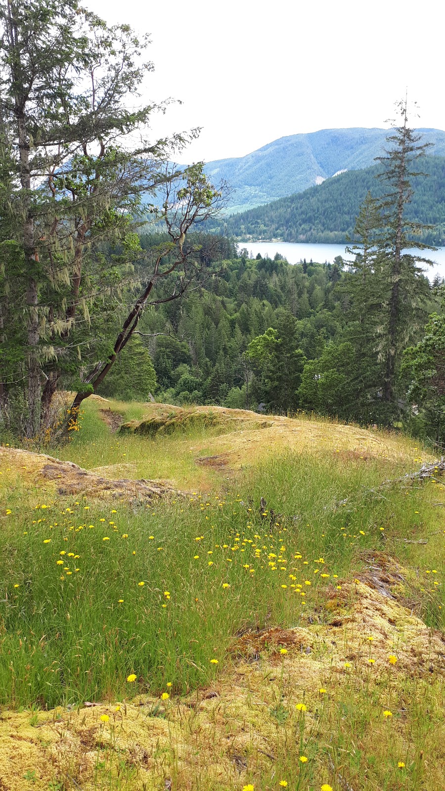 Marble Bay Park | Nighthawk Rd, Mesachie Lake, BC V0R 2N0, Canada | Phone: (250) 746-2620