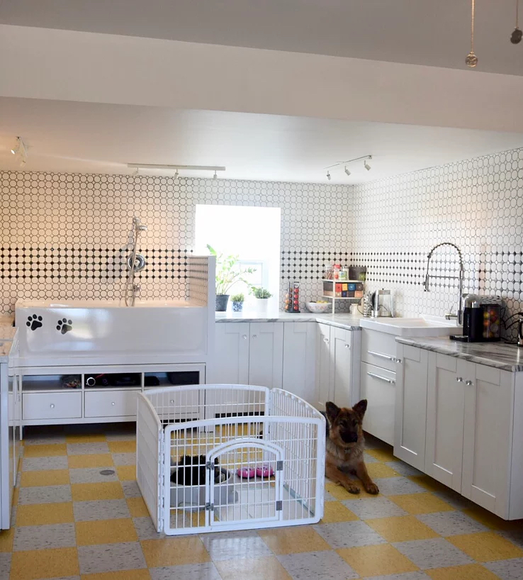 Pension Puppy Love | 338 Chemin Saint-Édouard, Saint-Mathieu, QC J0L 2H0, Canada | Phone: (514) 804-0338