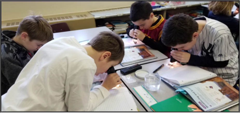 Christ the King School | 2 Lamarck Dr, Buffalo, NY 14226, USA | Phone: (716) 839-0473