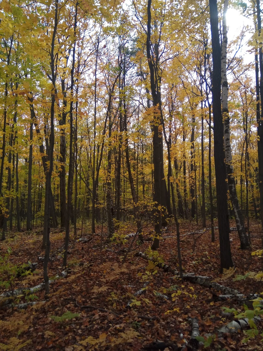 Boyne Valley Provincial Park | Shelburne, ON L0N 1S0, Canada | Phone: (705) 435-2498
