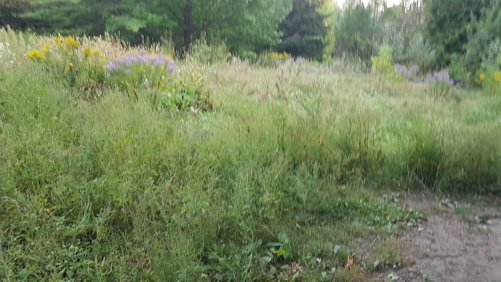 Harmony Valley Conservation Area | 915 Grandview St N, Oshawa, ON L1K 2E3, Canada | Phone: (905) 436-3311