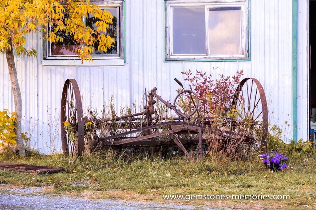 Sawmill Creek Farm Niagara | 437 Sawmill Rd, St. Catharines, ON L2R 6P7, Canada | Phone: (905) 246-6796