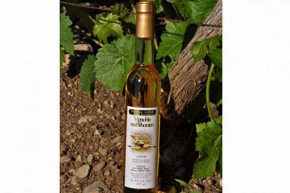 Vignoble du marathonien | 318 QC-202, Havelock, QC J0S 2C0, Canada | Phone: (450) 826-0522