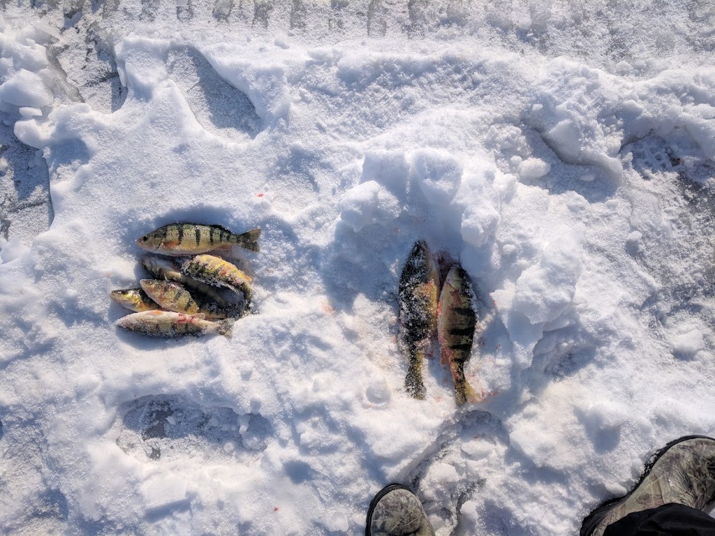 Mitchells Fish Huts | 6 Wellington St, Beaverton, ON L0K 1A0, Canada | Phone: (705) 426-9482