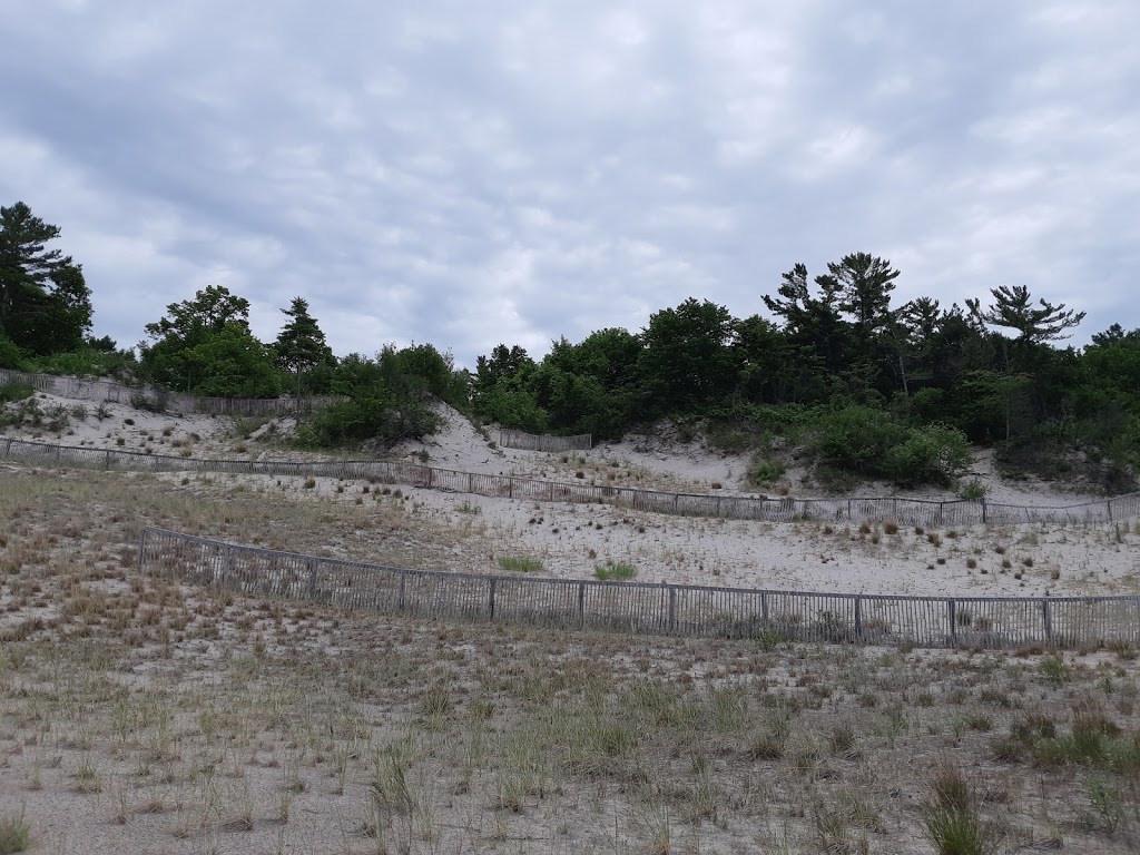 Bluewater Dunes | 2T0, 64 Nicole Blvd, Tiny, ON L0L 2T0, Canada