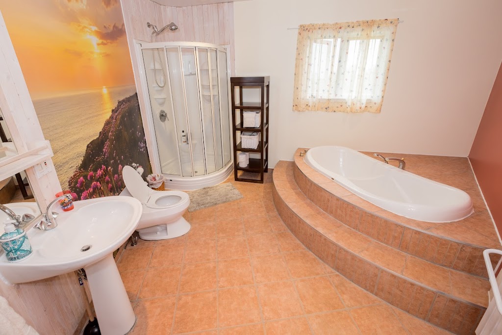 LUnique de Charlevoix | 103 Chemin St Paul, La Malbaie, QC G5A 2G7, Canada | Phone: (450) 663-1898