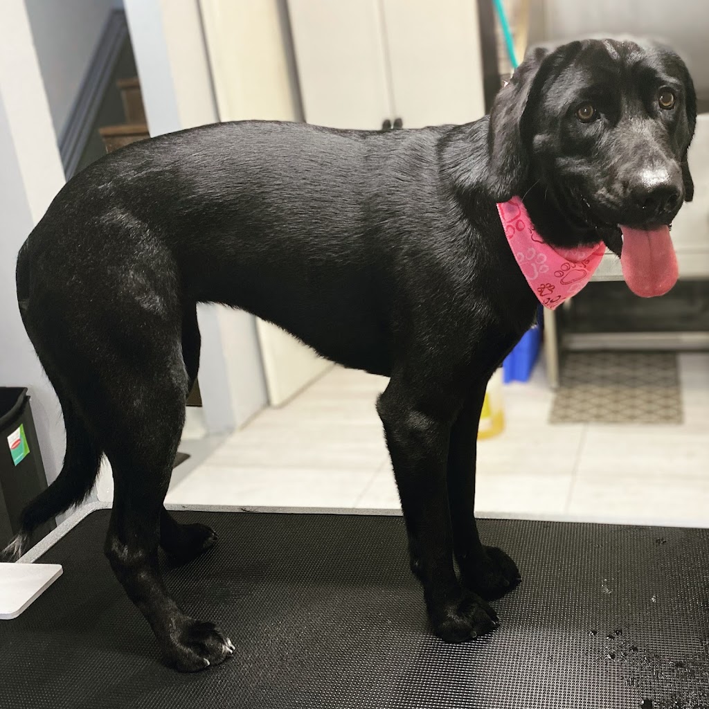 Canine Corner Grooming | 874 Krosno Blvd, Pickering, ON L1W 1H3, Canada | Phone: (416) 303-7734