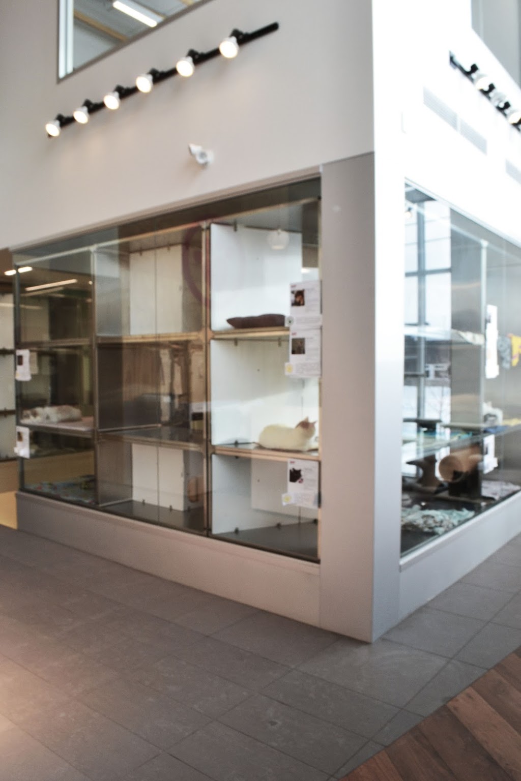 Vétérinov | 1001 Chemin Dion, Sherbrooke, QC J1R 0R8, Canada | Phone: (819) 481-1083