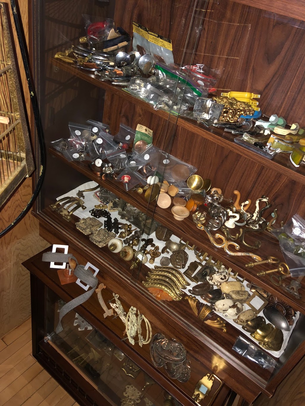 Pippins Pickins | 606 Sutherland Ave, Chamberlain, SK S0G 0R0, Canada | Phone: (306) 380-7604