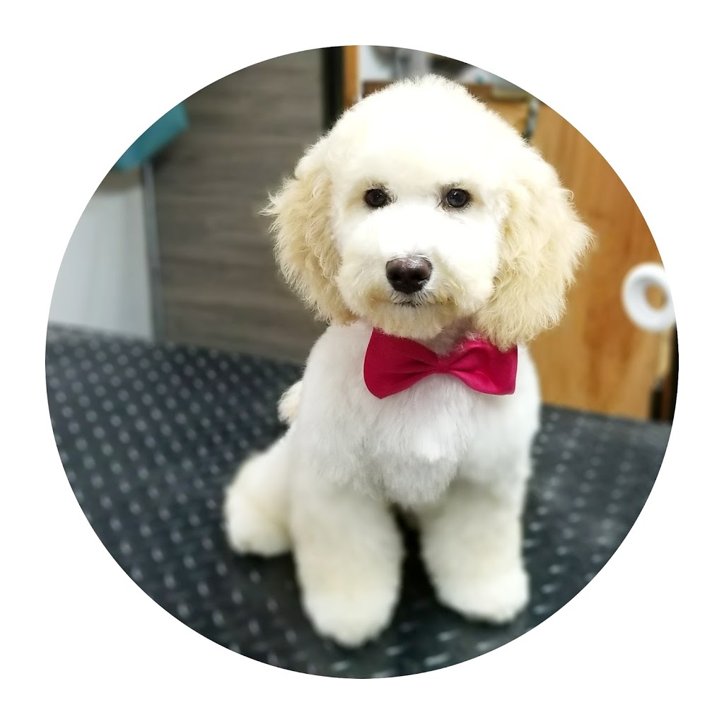 Grooms by Em | INSIDE the Laughing Llama, 3090 Trans-Canada Hwy, Mill Bay, BC V0R 2P2, Canada | Phone: (250) 510-7220
