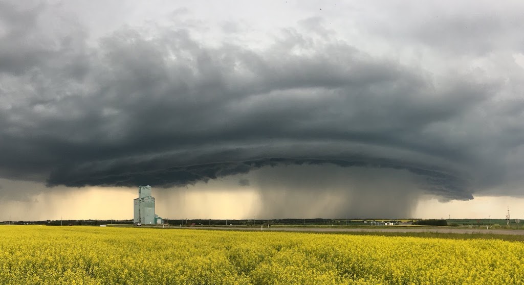 Canada Malting Limited Niobe South Elevator | Red Deer County, AB T0M 1R0, Canada | Phone: (403) 571-7000