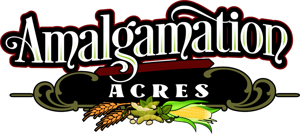 Amalgamation Acres | store | 85399 St Helens Line, Lucknow, ON N0G 2H0, Canada | 5195285995 OR +1 519-528-5995