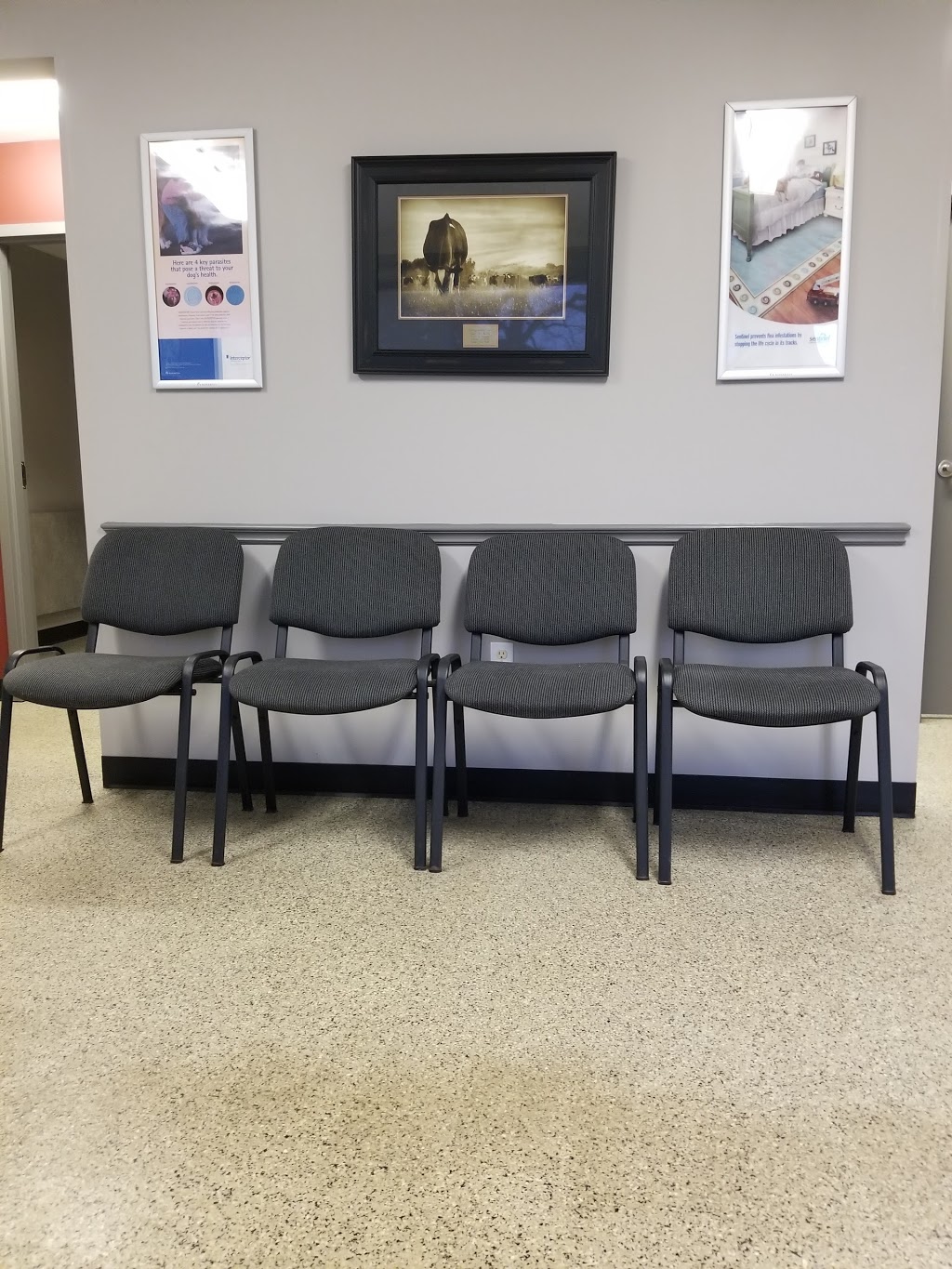 Aylmer Veterinary Clinic | 421 Talbot St W, Aylmer, ON N5H 1K8, Canada | Phone: (519) 773-3911