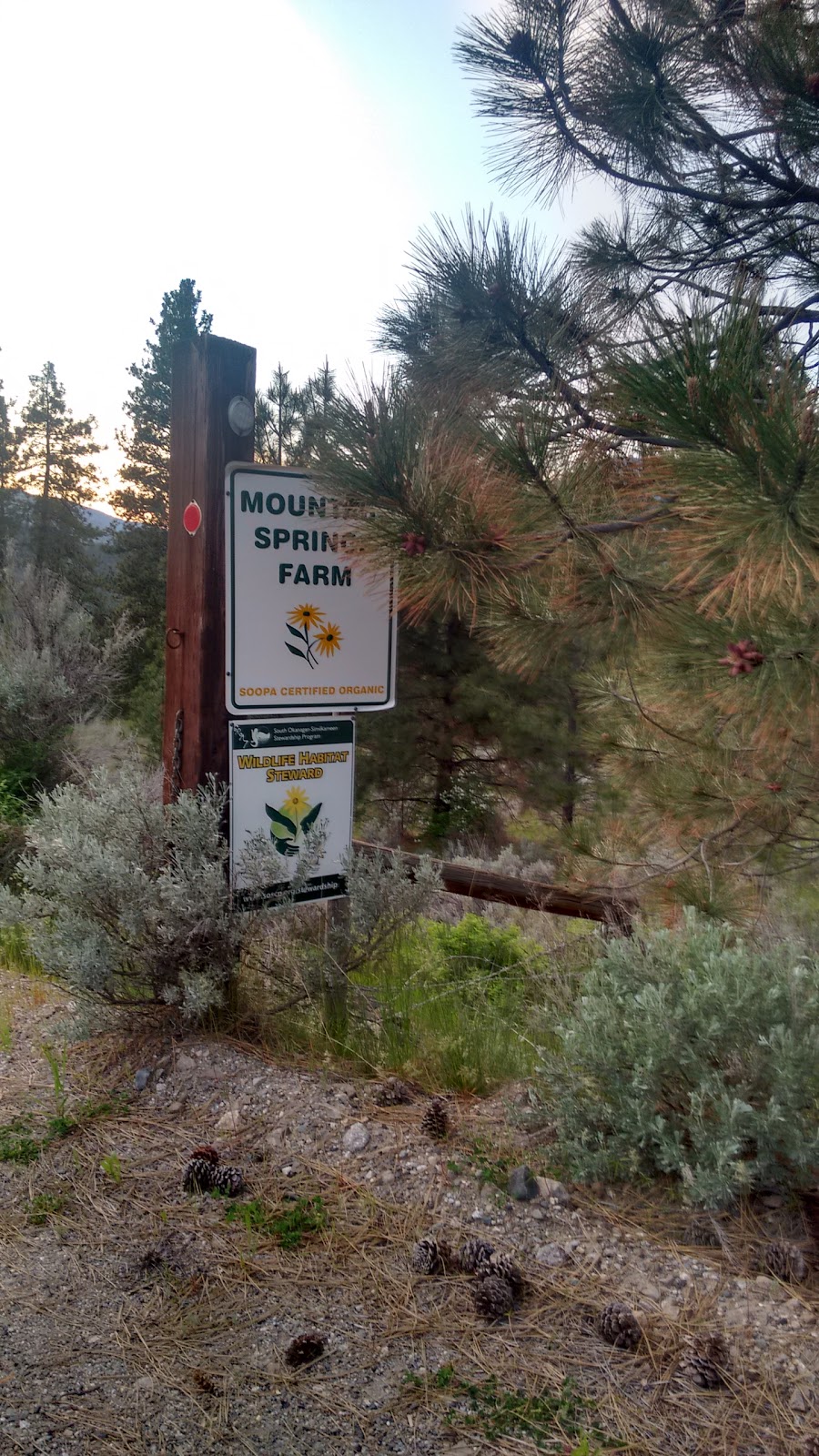 Mountain Springs Nature Retreat B&B | 564 Hwy 3A, Kaleden, BC V0H 1K0, Canada