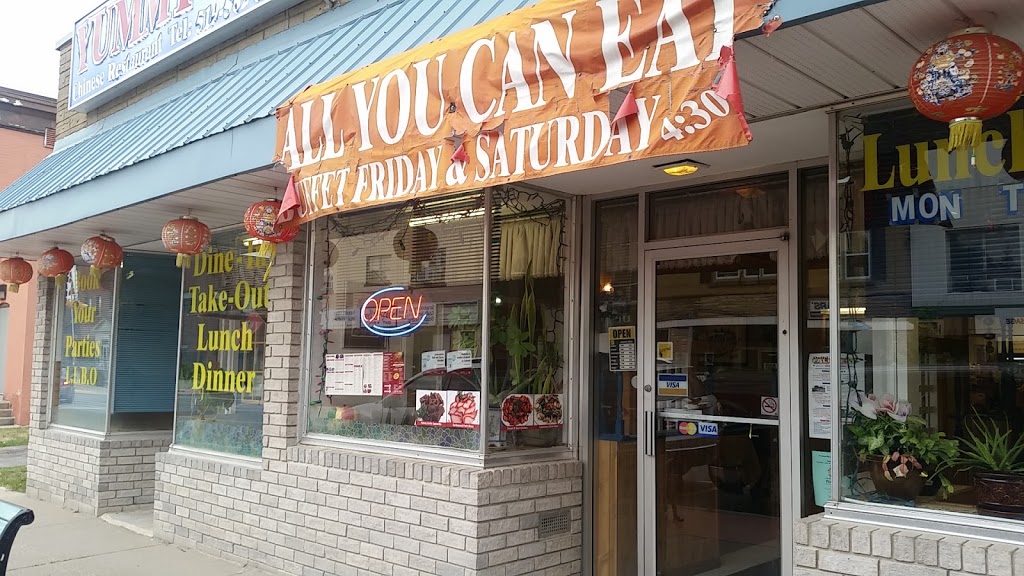 Yummy Chow Chinese Restaurant | 162 Main Street of Delhi, Delhi, ON N4B 2L9, Canada | Phone: (519) 582-3938