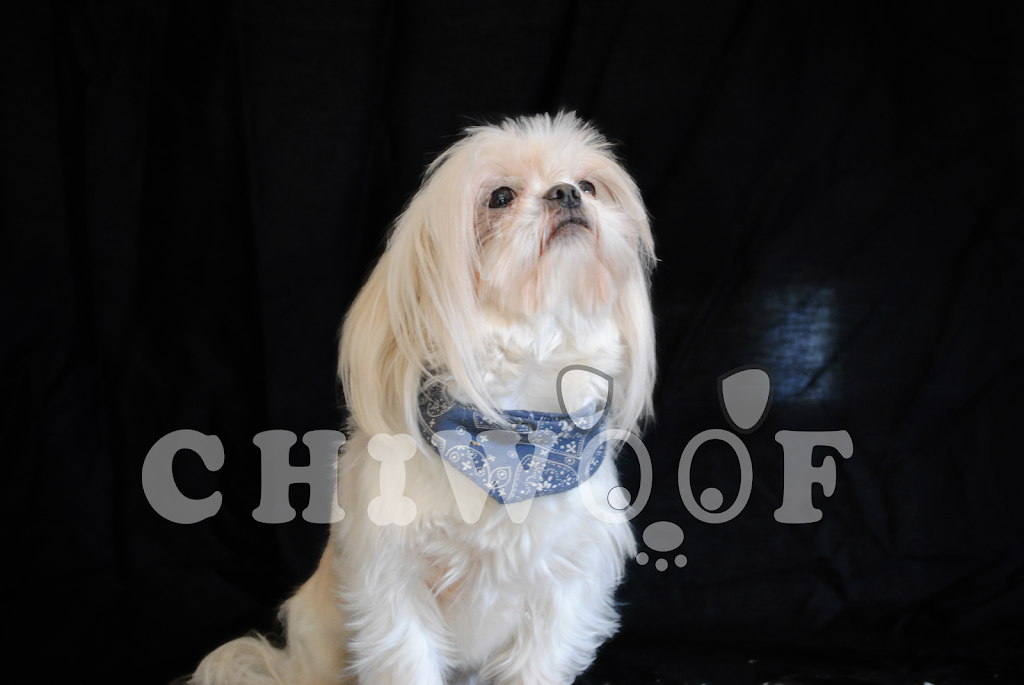 Chiwoof | 1381 Rang Saint François, Saint-Jean-de-Matha, QC J0K 2S0, Canada | Phone: (450) 832-1003