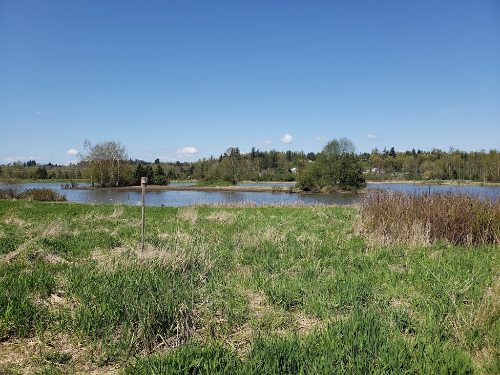 Willband Creek Park | Bateman Rd, Abbotsford, BC V2S 7Y8, Canada | Phone: (604) 853-2281