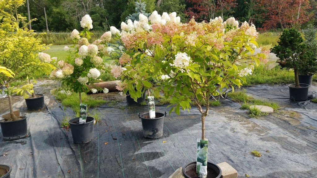 LEES GARDEN | 11530 McCowan Rd, Whitchurch-Stouffville, ON L4A 7X5, Canada | Phone: (647) 295-5850