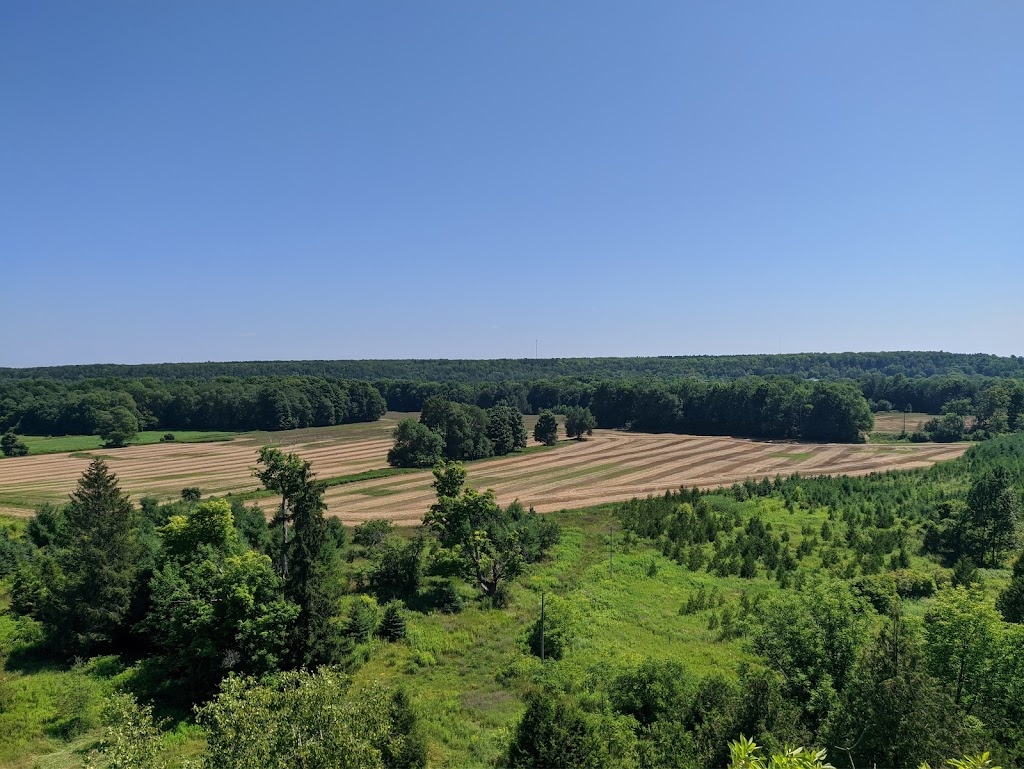 Pottawatomi Conservation Area | 717875 ON-6, Owen Sound, ON N4K 5N7, Canada | Phone: (519) 376-3076