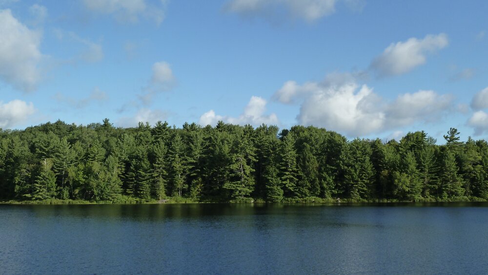 ReConnect Consulting | 31 Raglan St, Guelph, ON N1H 2S4, Canada | Phone: (519) 731-5802
