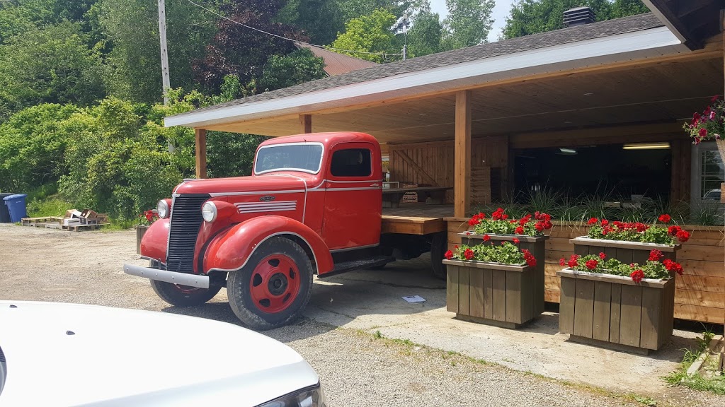 Ferme Horticole Gagnon | 8600 Chemin Sainte-Marguerite, Trois-Rivières, QC G9A 5C9, Canada | Phone: (819) 377-2360