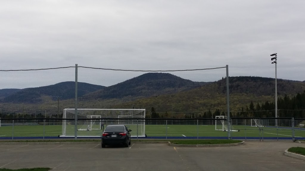 Parc Des Saphirs | 175 Rue Kildare, Sainte-Brigitte-de-Laval, QC G0A 3K0, Canada