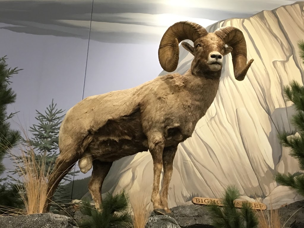 Cabelas Barrie | Park Place Centre, 50 Concert Way, Barrie, ON L4N 6N5, Canada | Phone: (705) 735-8900