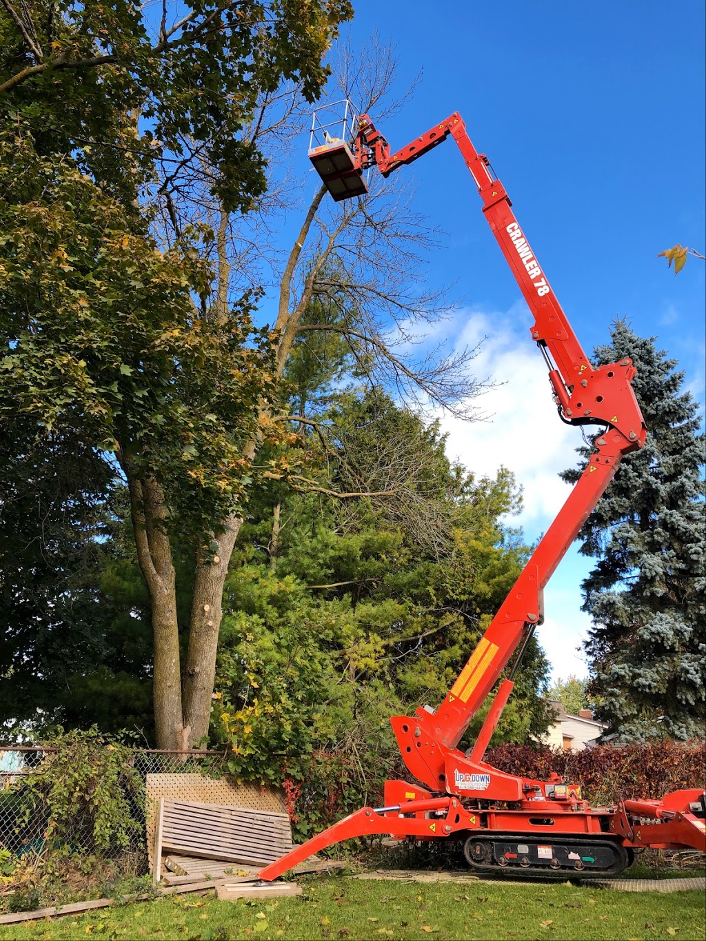 Florapine Tree Service Inc. | 8768 ON-6, Arthur, ON N0G 1A0, Canada | Phone: (519) 669-1836