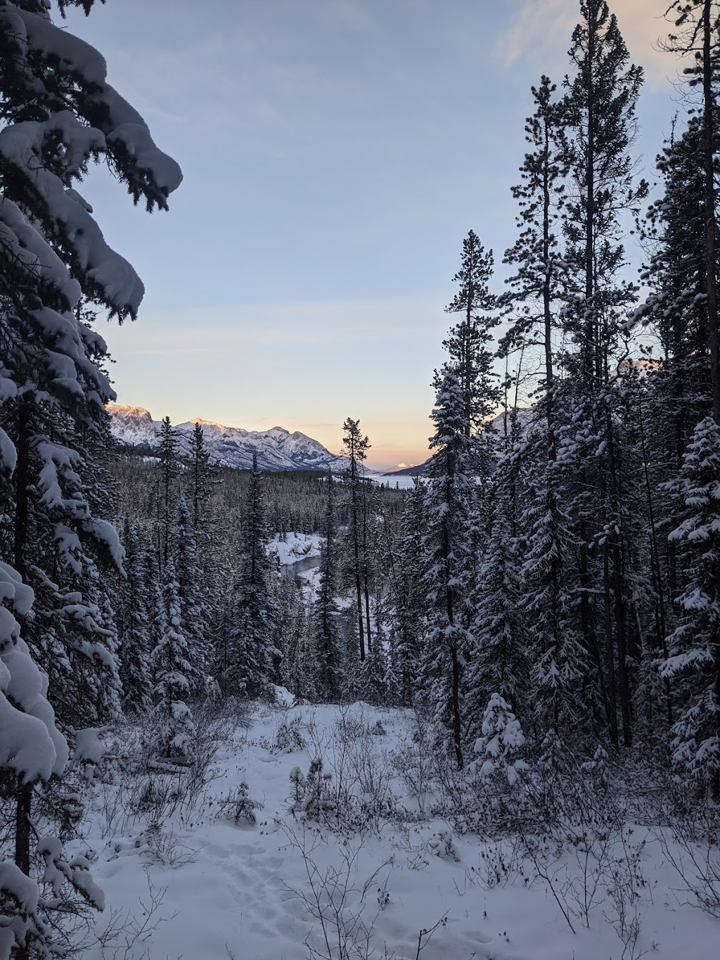 Nordegg Adventures | 4 Stuart St, Nordegg, AB T0M 2H0, Canada | Phone: (877) 907-6071