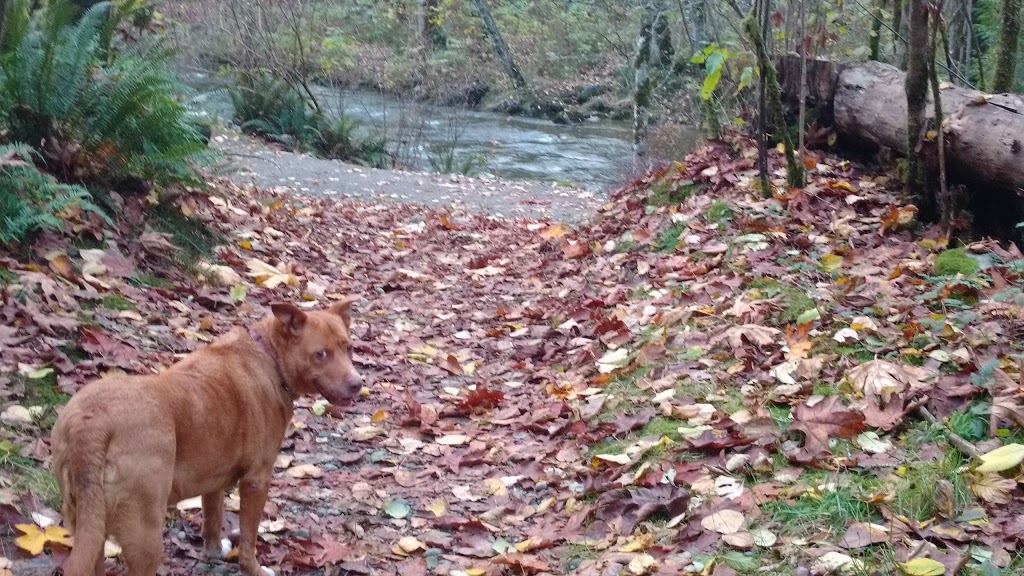 Coquitlam River Park | 1190 Shaughnessy St, Coquitlam, BC V3E, Canada
